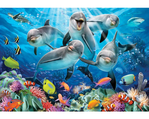 Dolfijnen onder water, aquarium fotobehang met een vrolijke en levendige sfeer voor kinderkamers.