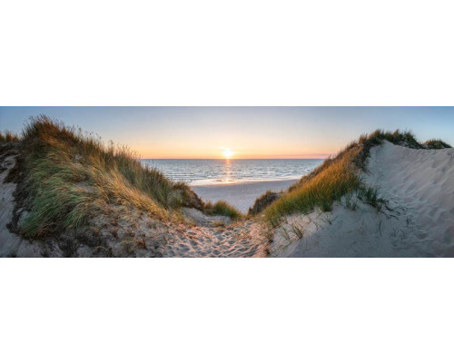 Fotobehang Strand met Duinen en Zee met uitzicht over zand, helmgras en glinsterende golven.