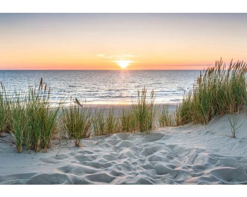 Fotobehang Strand met Duinen en Zee met uitzicht over zand, helmgras en glinsterende golven.