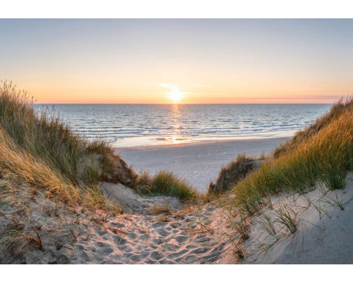 Fotobehang Strand met Duinen en Zee met uitzicht over zand, helmgras en glinsterende golven.