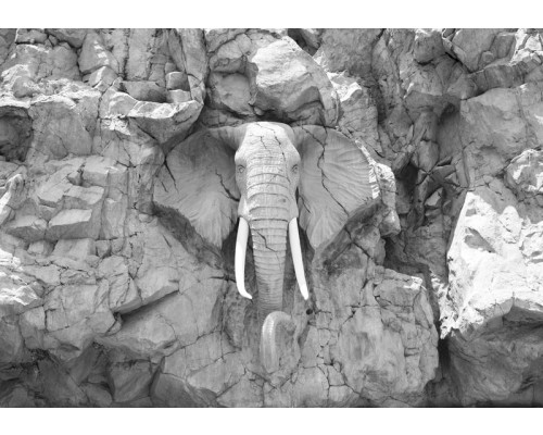 Olifant uitgesneden in rotsen, fotobehang in grijze tinten met een artistieke en natuurlijke uitstraling.
