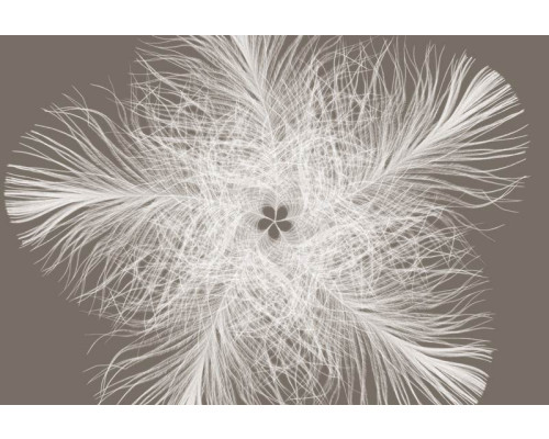 Federster abstract fotobehang, met een modern kunstwerk dat elke ruimte een creatieve uitstraling geeft.