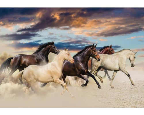 Fotobehang van galopperende paarden in een natuurlijke omgeving, vol beweging en energie.