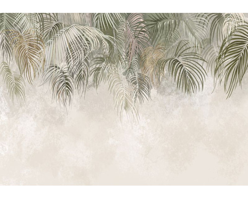 Fotobehang, Hangende palmbladeren groen beige bruin