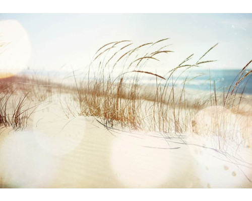 Helmgras langs de kust en duinen op dit strandfotobehang, met een rustgevende zee in de verte.