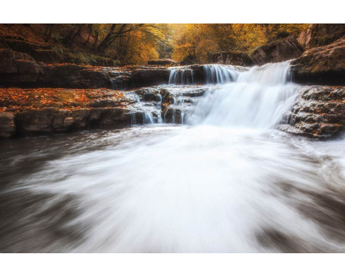 Fotobehang van een herfstig boslandschap, waar een waterval door de kleurrijke bomen stroomt.