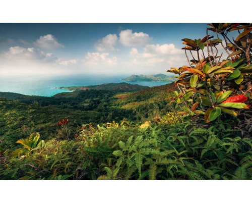 Hof van Eden uitzicht landschap Praslin fotobehang, met een tropisch paradijs.