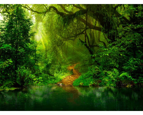 Een betoverend fotobehang van jungleplanten en tropische bloemen, omringd door de natuur en een tropisch meer.