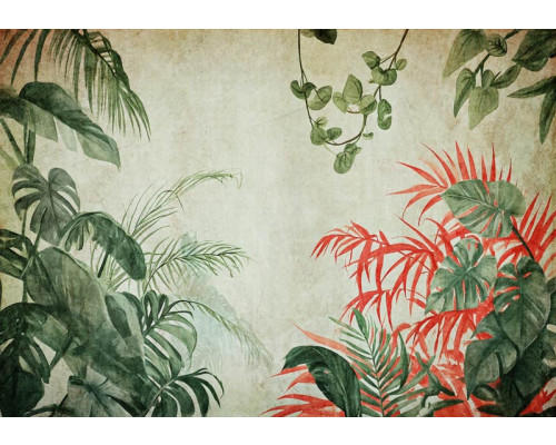 Fotobehang van jungleplanten op beton, met een botanische en moderne twist.