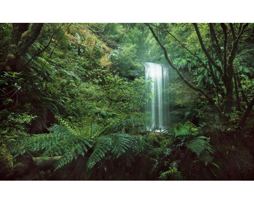 Een tropische waterval midden in de jungle, het fotobehang brengt de schoonheid van natuur en rust in elke ruimte.