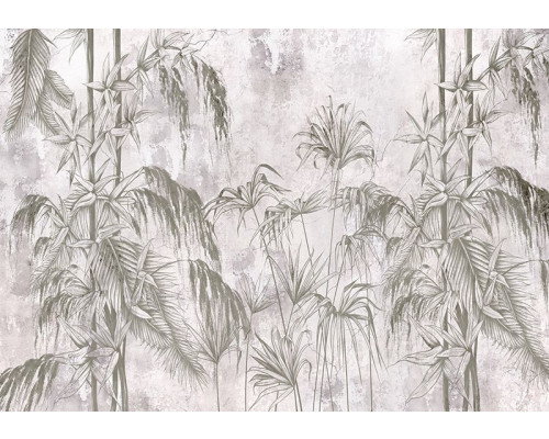 Fotobehang, Jungle Beton Zwart Wit Planten