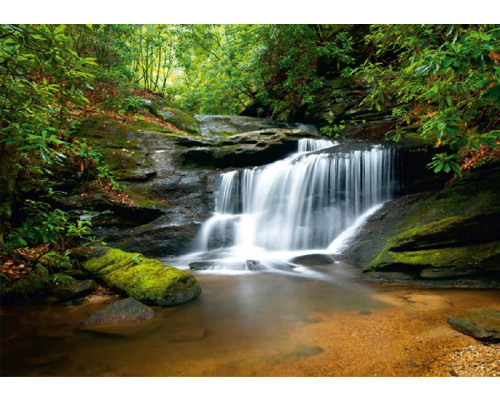 Fotobehang Krachtige Waterval in het Bos