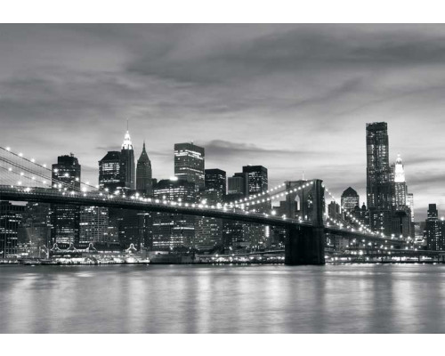 New York brug fotobehang, met een stedelijk en modern stadsbeeld van een iconische brug in de VS.