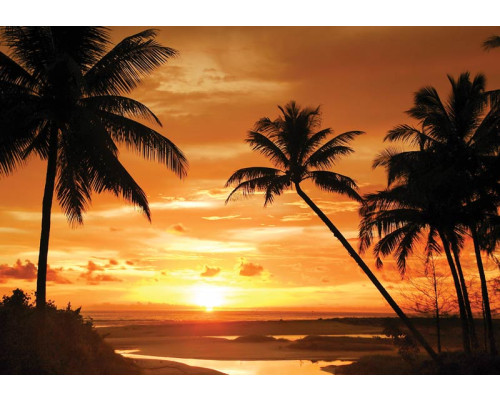 Palmbomen bij zonsondergang, fotobehang met een zomerse en tropische sfeer voor een ontspannen interieur.