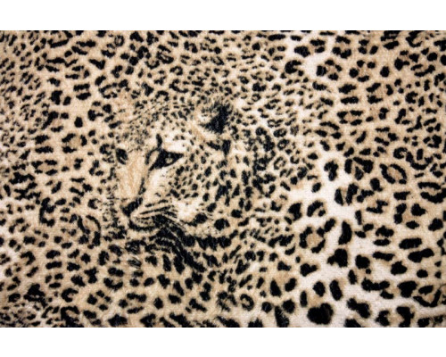 Panterprint fotobehang met dierenmotief van een luipaard.