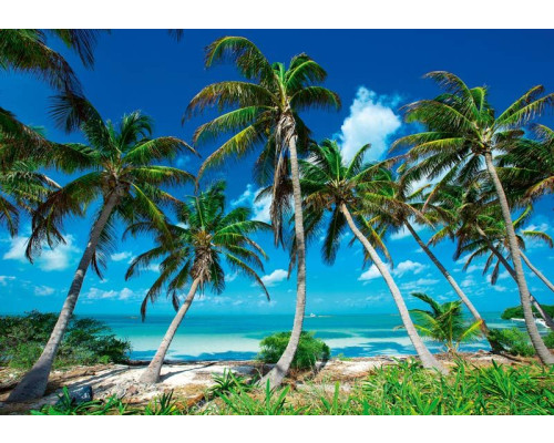 Fotobehang van paradijselijke palmbomen op een tropisch strand met uitzicht op de zee.