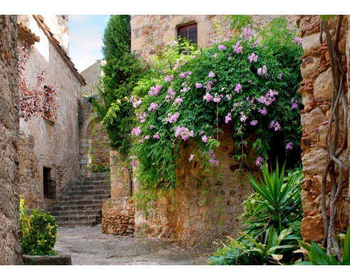 Fotobehang Patio