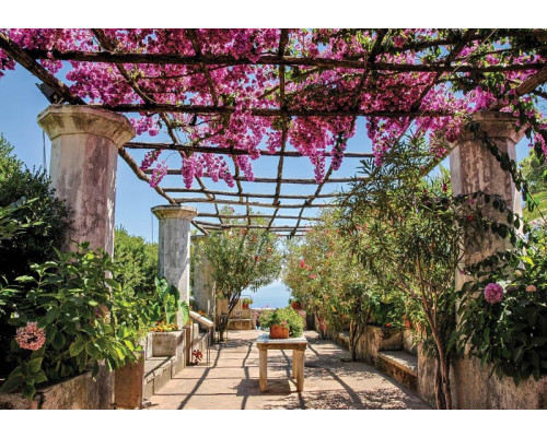 3D-fotobehang van een bloementunnel onder een pergola, met kleurrijke bloemen en bladeren die de ruimte omlijsten.