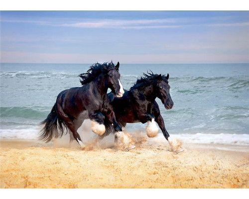 Fotobehang Shire Paarden langs het Strand