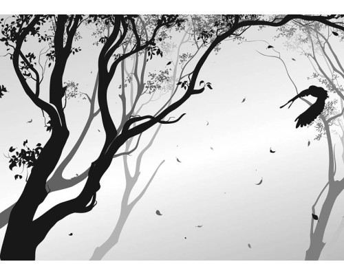 Fotobehang Silhouet van het Bos