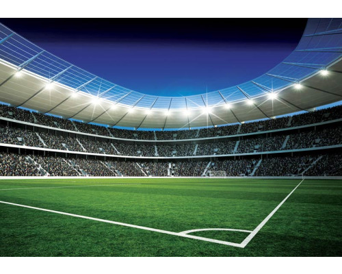 Fotobehang met een stadion en een voetbalveld waar kinderen spelen.