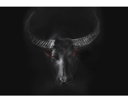 Fotobehang van een krachtige stier, dynamisch weergegeven in een industriële setting met sterke contrasten.