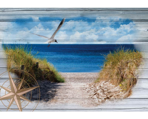Fotobehang van een strand met duinen en de oceaan, weergegeven op een houten achtergrond.
