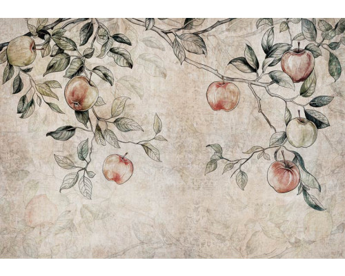Fotobehang van takken van een appelboom met appels, voor een landelijke sfeer.