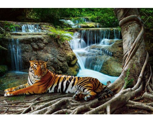 Fotobehang van een tijger bij een waterval in het bos.