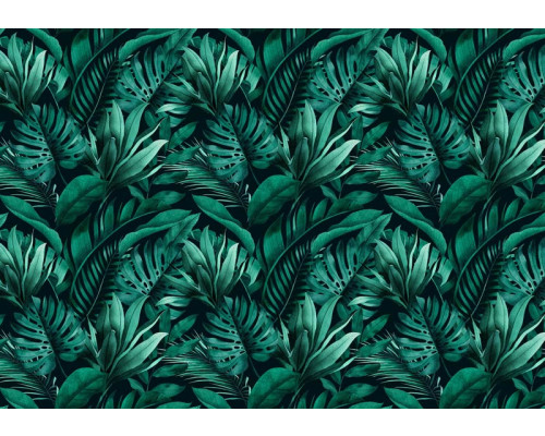 Tropische junglebladeren op een botanisch fotobehang, dat een frisse en weelderige sfeer brengt.