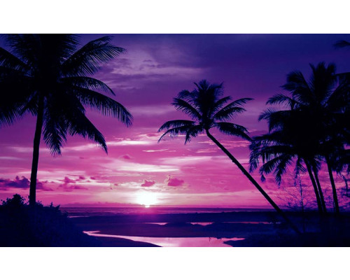 Tropische zonsondergang met palmbomen aan de kustlijn, met warme oranje en roze tinten in de lucht en de reflectie in het water.