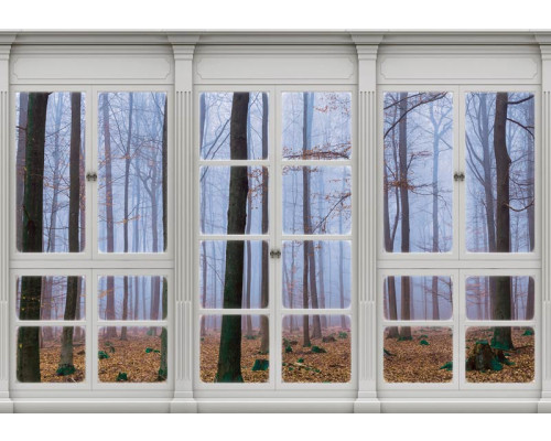 Fotobehang Uitzicht door het Raam op het Bos 3D Perspectief