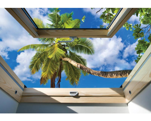 Fotobehang met uitzicht op palmbomen door een dakraam, met subtiele 3D-effecten.