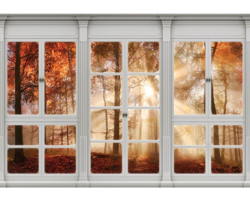 Fotobehang van een herfstbos, te zien door een raam, met zonnestralen en 3D-effect.