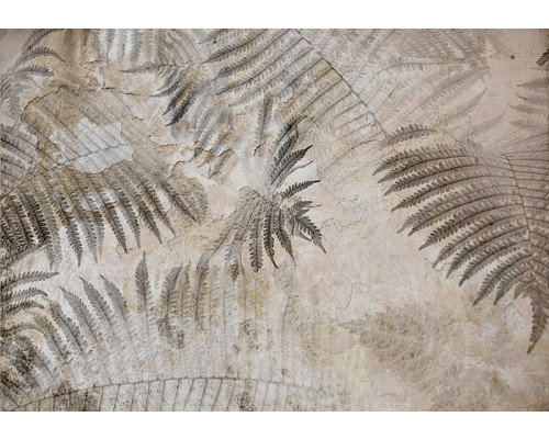 Fotobehang, Varenblad palm beton 3D