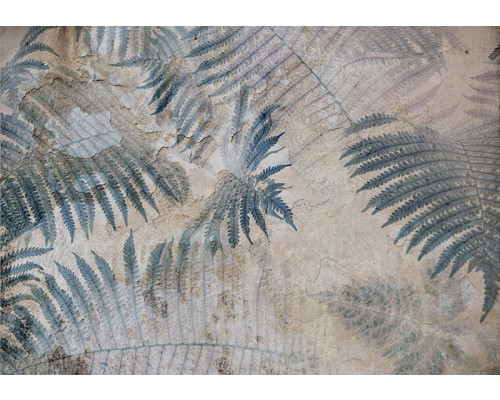 Fotobehang, Varenblad palm beton muur 3D