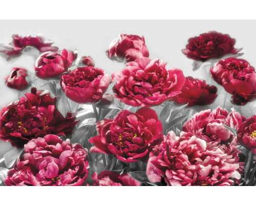 Verleiding met rozen, een romantisch fotobehang met weelderige bloemen, perfect voor een luxe sfeer.