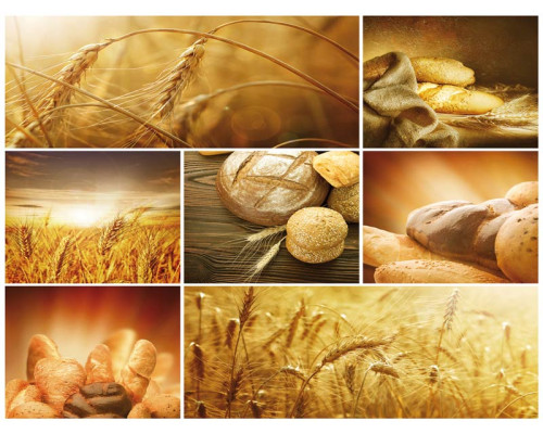 Fotobehang met versgebakken brood en graan, rustiek en sfeervol bakkerijmotief.
