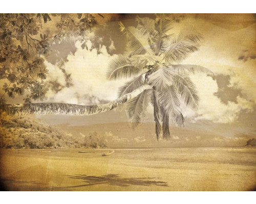 Palmboom op het strand, vintage fotobehang met een zomerse en tropische sfeer.