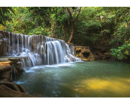 Waterval in het bos, een jungle thema op fotobehang.