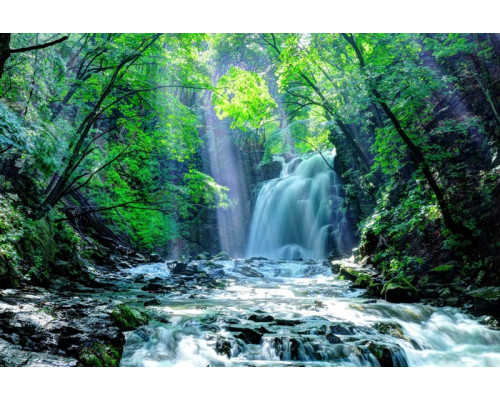 Fotobehang van een waterval in een zonnig bos, waar het water door een regenwoud en jungle stroomt.