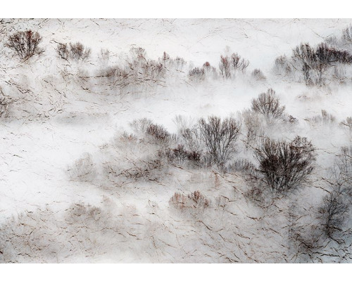 Fotobehang, Weide Mistbomen Natuur