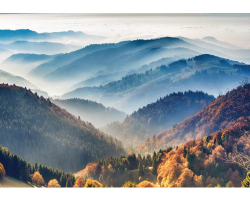 Fotobehang van het Zwarte Woud, waar de bergen en bossen een weelderig en indrukwekkend landschap vormen.
