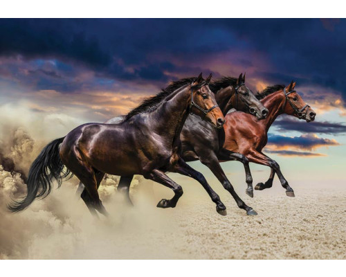 Fotobehang van rennende paarden, dynamisch en krachtig.