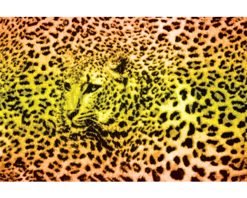 Panterprint behang met een cheetah en jachtluipaard, exotisch en krachtig.