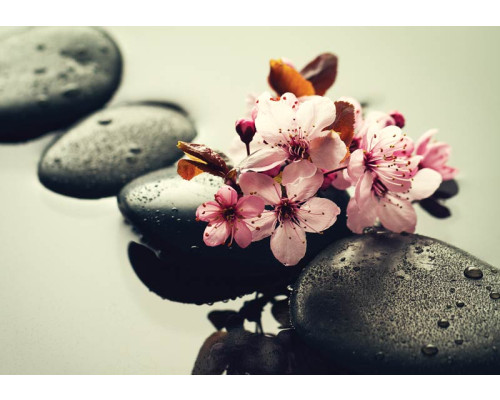 Spa fotobehang met wellness sfeer, sauna elementen, stenen en bloemen, voor een ontspannende uitstraling.