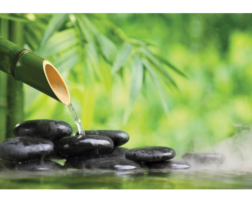 Wellness fotobehang met sauna, hete stenen en bloemen.