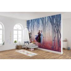 Een fotobehang van Disney Frozen met Elsa en Anna die hun vriendschap vieren in de kinderkamer.