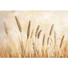 Fotobehang met een artistieke weergave van een graanveld met wuivende aren onder een zachte lucht.