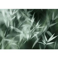 Fotobehang met artistiek getekende bamboebladeren in natuurlijke tinten op een donkere achtergrond.